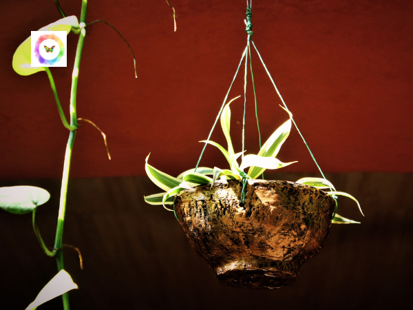planter-srishti-green-decor-hanging-planter-pot-hand-crafted-eco-friendly