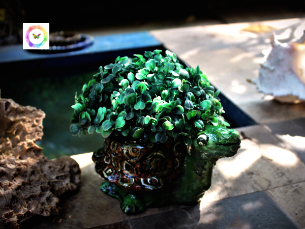 planter-srishti-green-decor-lucky-charm-planter-pot-hand-crafted-eco-friendly